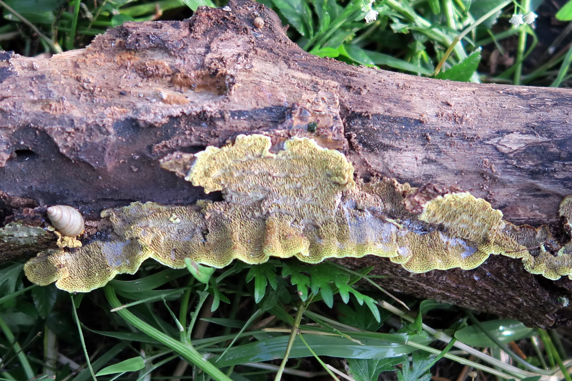1 -